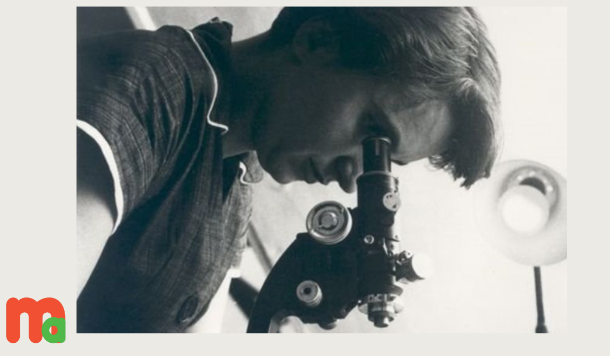 Rosalind Franklin, la científica brillante que el patriarcado anuló ...